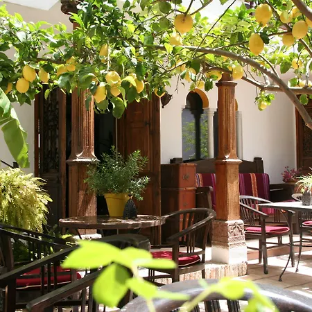Hotel Boutique La Del Angel 3*