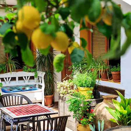 Boutique La Del Angel Hotel 3*
