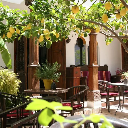 Hotel La Del Angel